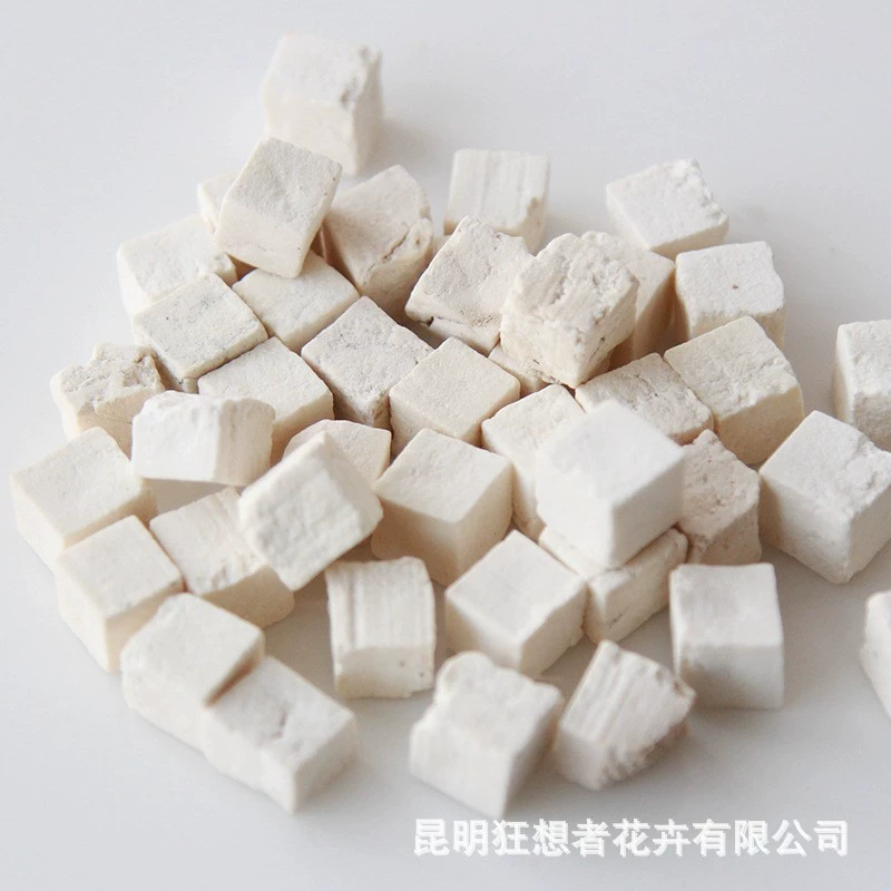 Dry Flower DIY Materials [Dry Fruit] Madman Sommelier Candle Plant Simagon Handmade Class Dry Flower Dry Branches Material