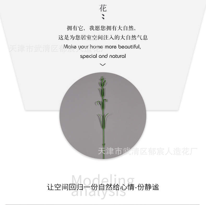 详情_05.jpg