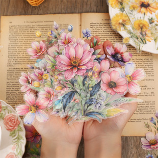 ���õ�һ��PET�N�� ����M�@ϵ�� ˮ��ֲ���֎��b��ز�20�� 6��