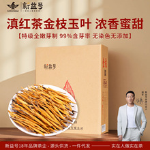 ̖2025ؼϵtPcŘᘽ֦~t~ɢb