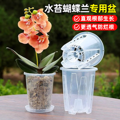 透明な青山の根の鉢の蘭の水の苔の胡蝶の蘭の専用の植木鉢のプラスチックの通気性の透かし彫りの大きいサイズの植木鉢の家庭用
