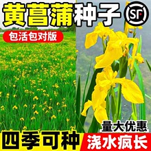 �S���ѷN���S���Sβˮ����ˮֲ����ˮ����ˮ�ݷN��������ˮ�T��