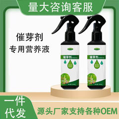 催芽剤発芽剤強力茶葉発財樹催芽剤葉面肥通用栄養液爆芽王種子芽