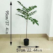 ����G�~���l�Gֲ�ȼ������R�d����ֲ�����Ը�֦��ʯ������