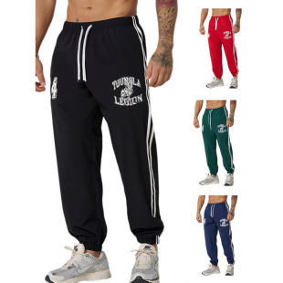Youngla American Trendy Brand Casual Stretch Pants Men's Summer Trendyy Printed Fitness Training Sports Basketball Pants
