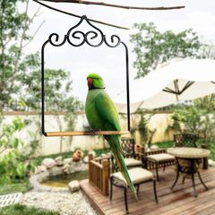 Portable bird stand, parrot perch stand, bird stand cage, bird cage stand platform, small live bird training stand, bird stand accessory
