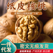 代发新疆185纸皮核桃【新核桃】手捏即开薄皮大果原味纸皮生核桃