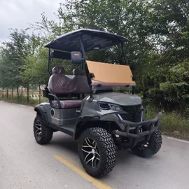 高尔夫球车;其他电动车