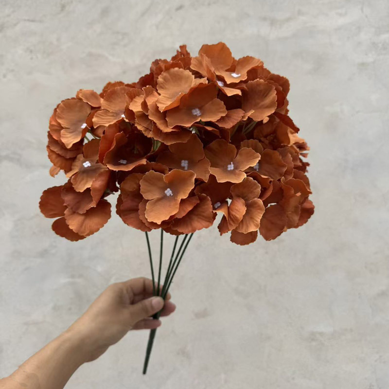 5 têtes d'hortensia caramel