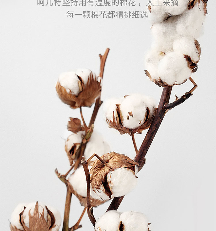 e9f0b4c04f15ef53e31ae3fc2e9486