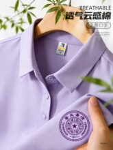 ��ɫ��Polo�����������ļ���I�F�w�Ļ����������t��ӡlogo