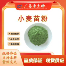 小麦苗粉 固体饮料原料 小麦苗汁粉  水溶性粉末 现货包邮可寄样