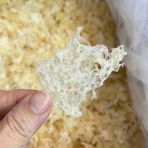 Traditional Chinese Medicine Cultivation of Silver Ear Gutan High Mountain Dried Goods Silver Ear No Addition of Washing White Ear Fungus Silver Ear Soup Can Be Eaten After Being Boiled