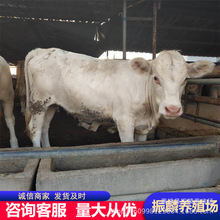 �����Rţ ������ţ�� �����Rţ��ţ�� Сţţ��r��