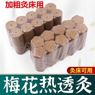÷����͸��4*5cm���l��ȫϢ÷���Ĵ��������׻�̫�����ɏ���Ҿ�