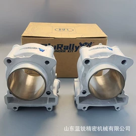 活塞/活塞环;气缸及部件