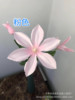 Tielian Cao Zili Flower Manufacturer directly offers a wedding hotel home decoration spot supply wholesale