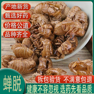 �s͑500g���] ���s�½��s���sƤ Ұɽ�s���s��֪��Ƥ֪�˚���؛��