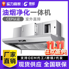 驰能商用抽油烟净化一体机免管道低空排放无烟管油烟净化器一体式