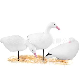 ����ѩ�Z���Z���C�T�D�Z�ZVAܛ�z�ۯB�Z�����Zģ�́��R�d����