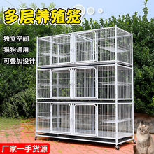 猫笼自由空间繁殖三层笼子繁殖繁育舍繁殖双层家用鸽子笼厂家批发