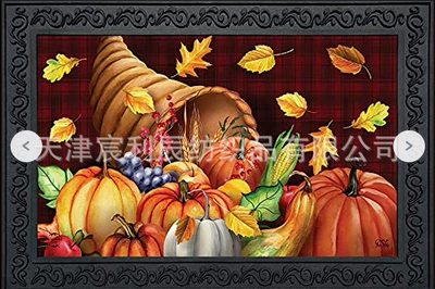 Room Decoration Painting Hanging Painting – Avtomobil döşəmə paspasları - harvest-pad-02-5080cm