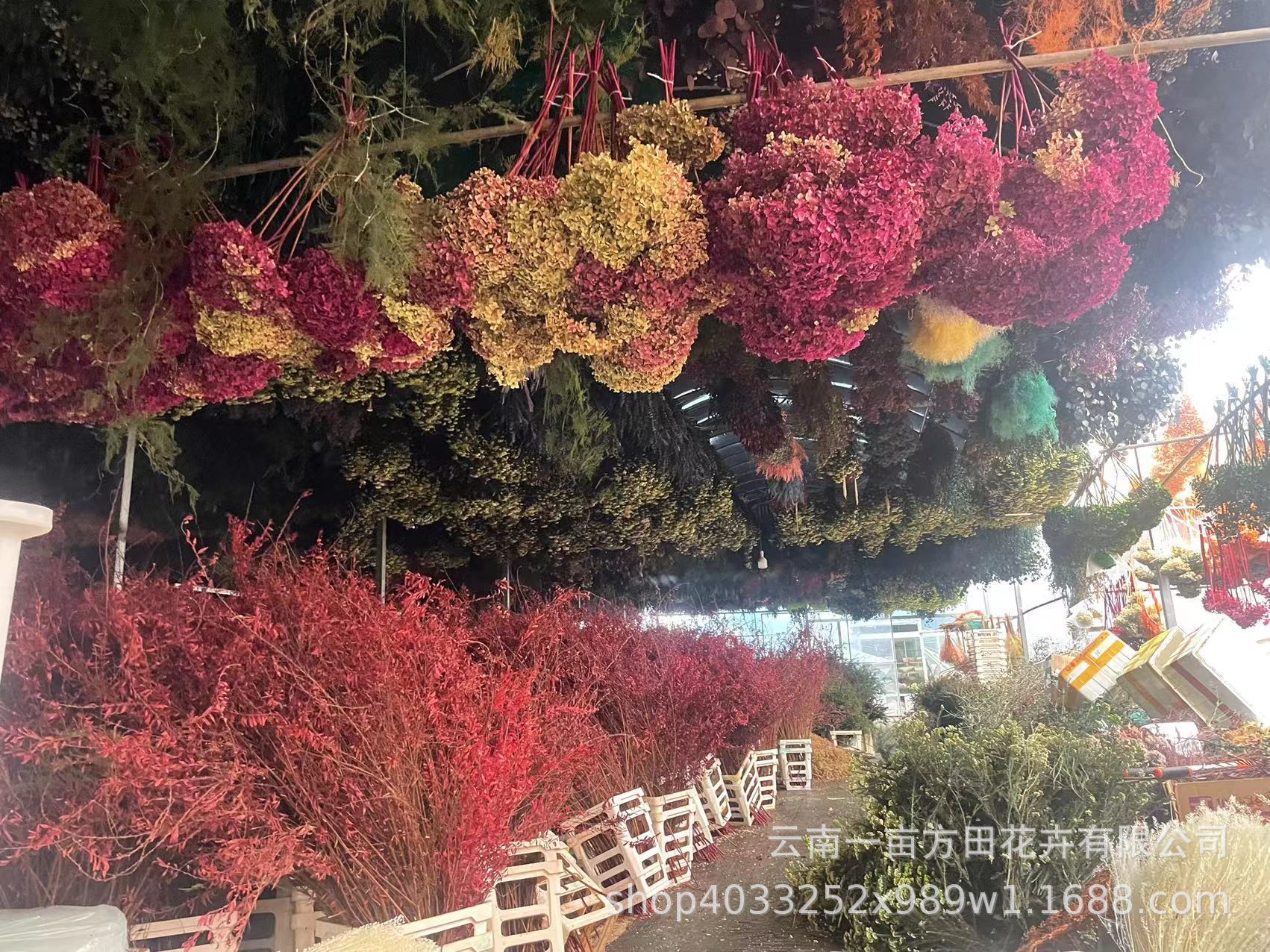 4feb445a7a8e2bd7d872e6613ad4bc