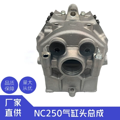 Zongshen Nc250 Engine Hengjian Cylinder and parts