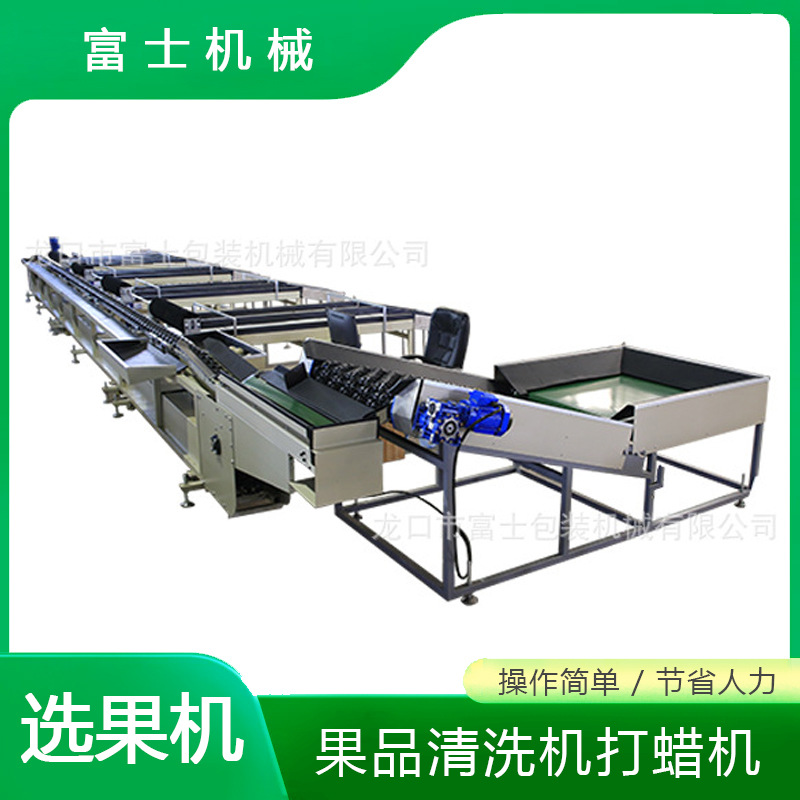 【厂家打造】批量出售高质量电子分选机 电子选果机 ce认证