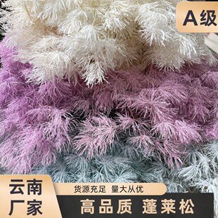 ����A�����R�ɸɻ��滨ѩ�� �羳�Ҿӻ�Y�b� ���Դ�^���S���l