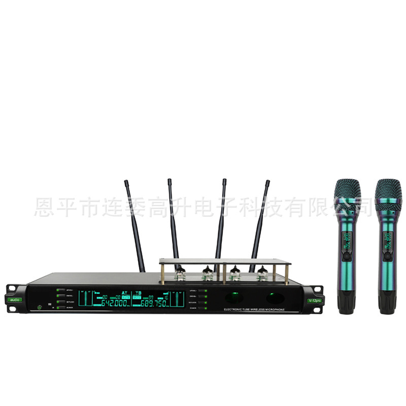 Cross-Border True Diversity Hifi Tube Noise Reduction Wireless Microphone One-To-Two Microphone Ktv Recording and Playback Speaker