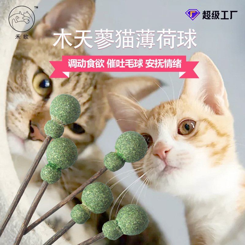 애완 동물 고양이 롤리팝 간식 다각형 카르마 고양이 민트 볼 고양이 대화 형 장난감