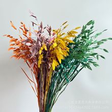 永生吸色小盼草干花真花凌风草风动草家居民宿装饰小清新DIY配花