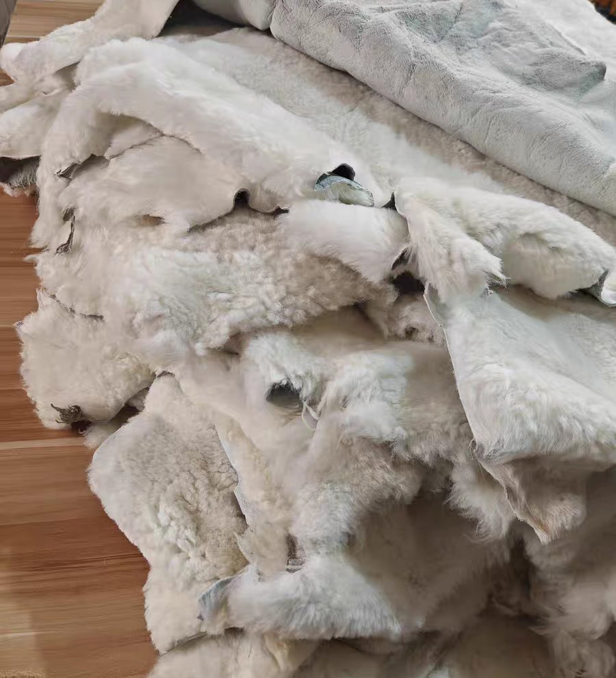 B8D679B0852054A546A86EF785341E