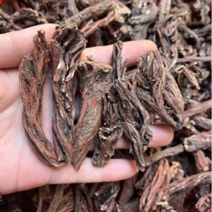 ���l�����ϵ����t�����Ƀ��oɳ��؛�F؛