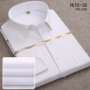 长袖职业结婚春季白衬衣