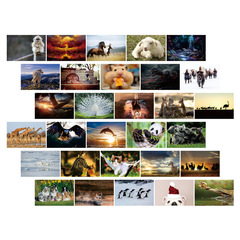 30 anime postcards, classic, retro, nostalgic, anime, purple, non-mainstream