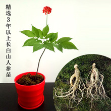 xLɽ˅˅ӎ˅˅ѷNѷNֲҰ