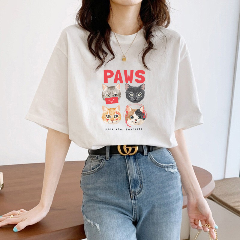 고양이 4 마리