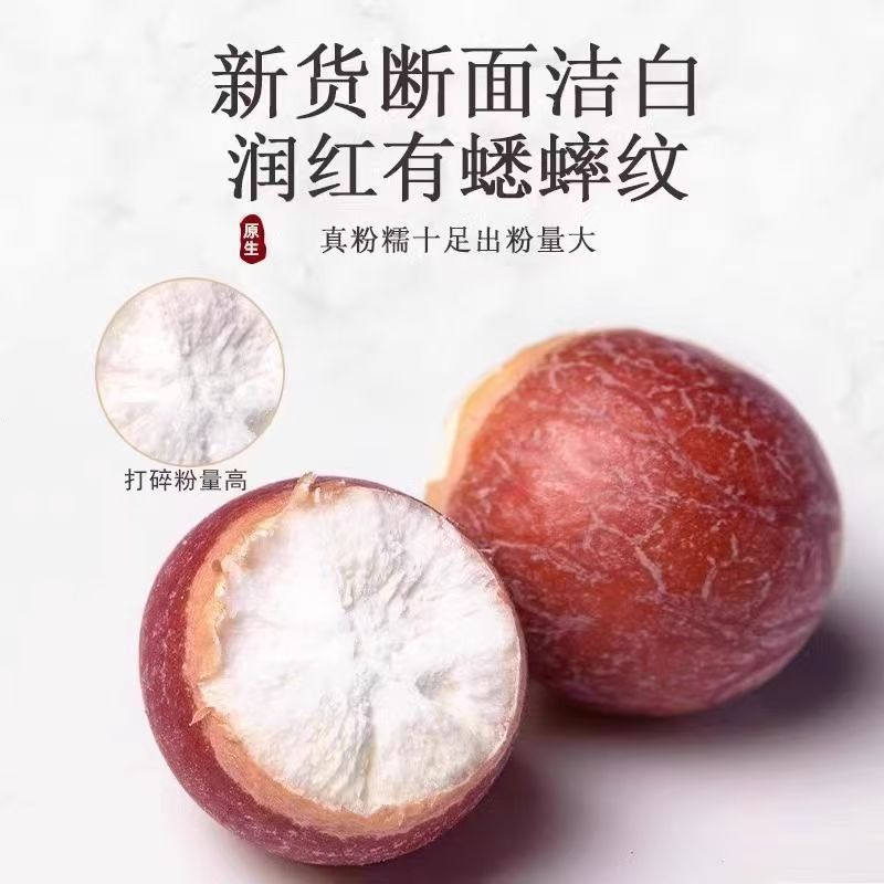 Dried Gorgon Fruit Qian Shi Euryale Ferox Seeds 100g Bottle for Soup Congee and Herbal Tea quality and texture