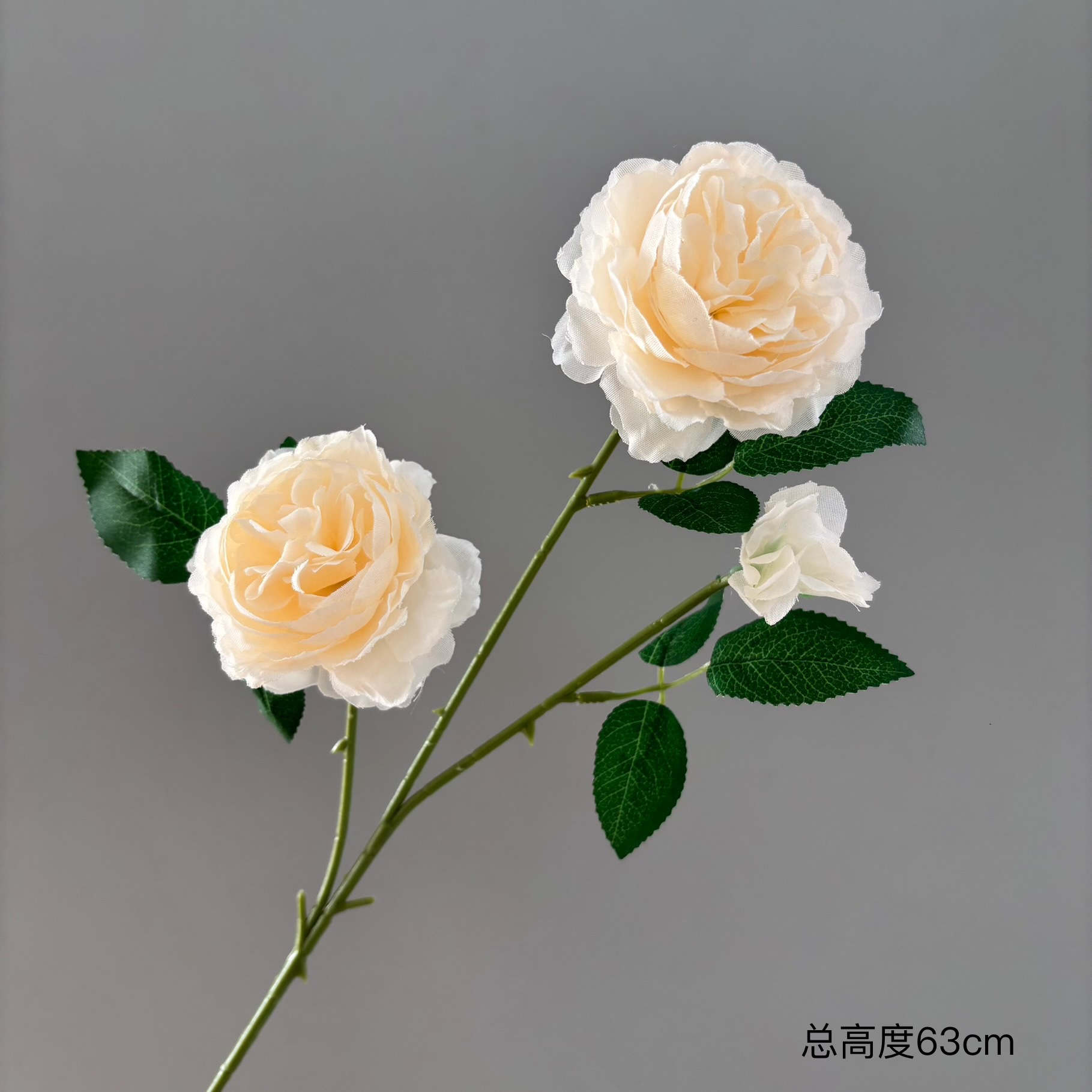 샴페인