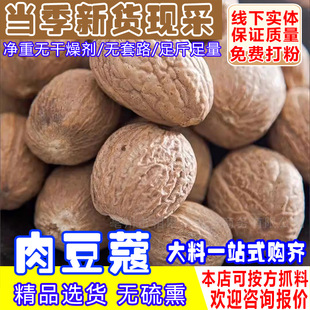 �ⶹޢ��ș�����������ޢ���ϸ�؛�������{����ߵ�{���������l