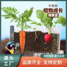 小花农植物观察盒 儿童学生种植杯益智科教玩具 蔬果根系花卉观察