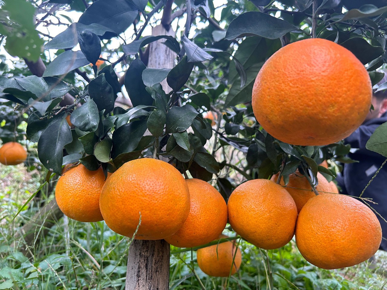 微信图片_20250928105517_148_10