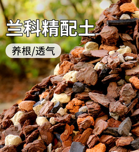 �m������͸��I�B���l�͸�������mֲ�ϷNֲ�������m�ɘ�Ƥ