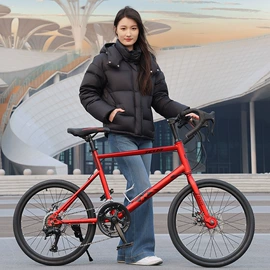 儿童自行车;自行车;公路自行车