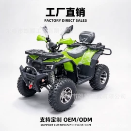 沙滩车;汽摩制造;其他摩托车