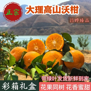 �����e����ԭ�ָ̲���Y�����r�����ЋDС������ˮ�����䑪��ˮ��