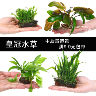 �~��ˮ�����쾰¹���F�ʹ��㽶����ˮ�ݼt�G�Źں�ˮ����Խ���