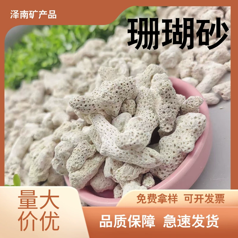 Фабрика на складе поставляет большое количество кораллового песка для очистки воды из коралловой кости